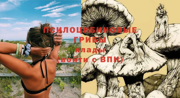 стафф Заволжск